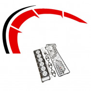 Engine Gaskets & Seals