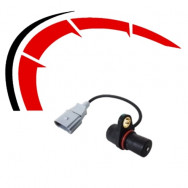 Fuel & Engine Management