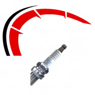 Plugs (Glow & Spark Plugs)