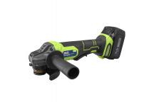 Sealey 115MM Cordless Angle Grinder 18V 3Ah - Green