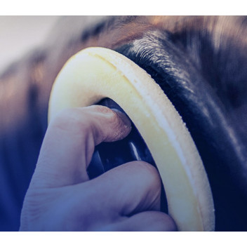 Lucas Slick Mist Speed Wax 710ml